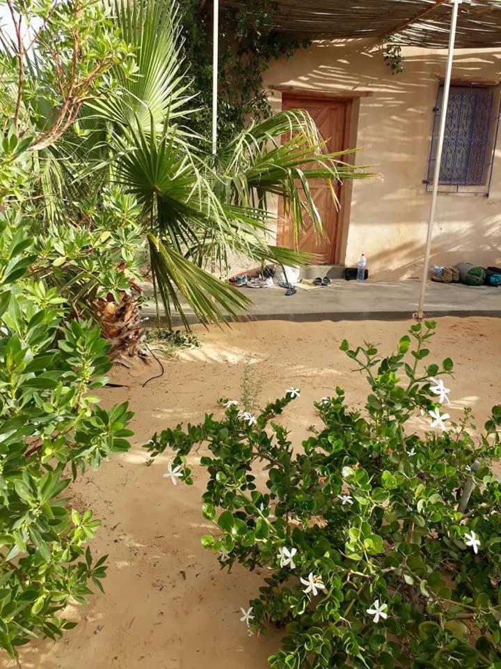 Grand Sud, La Maison De Sable Douz Kültér fotó